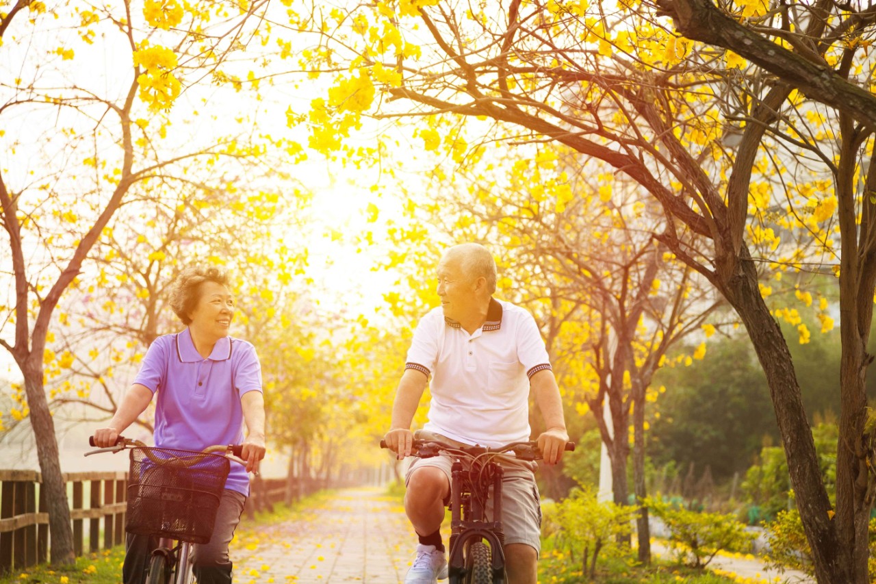 happy senior couple ride on bicycle in the park