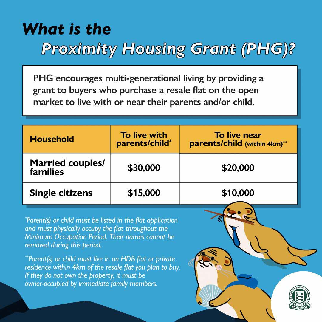 What is the Proximity Housing Grant?