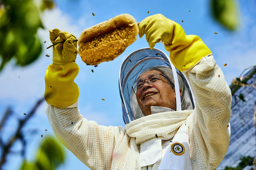 Mr Chong handling a beehive