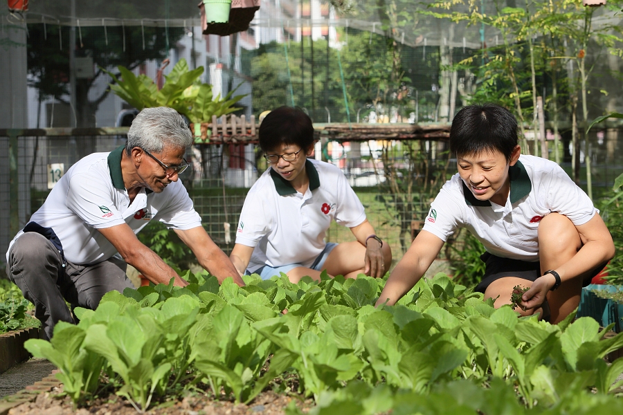 nparks gardening